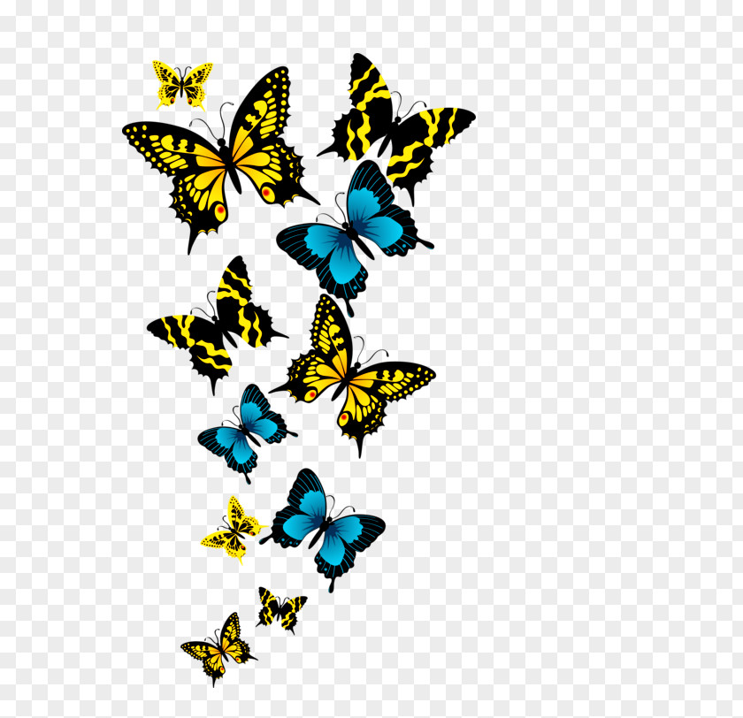 Buterfly Butterfly Greta Oto Clip Art PNG