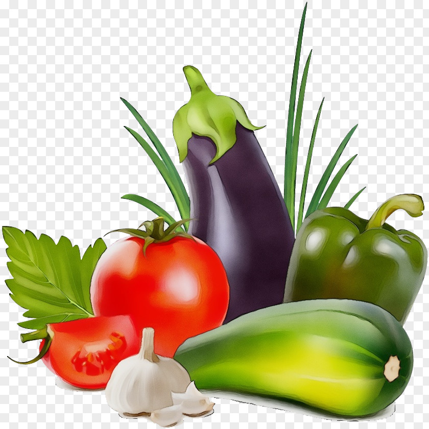 Eggplant Nutraceutical Tomato Cartoon PNG