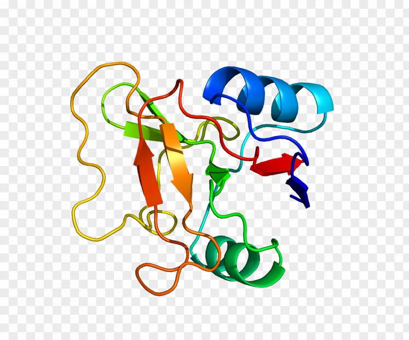 L-selectin Natalizumab Lymphocyte E-selectin PNG