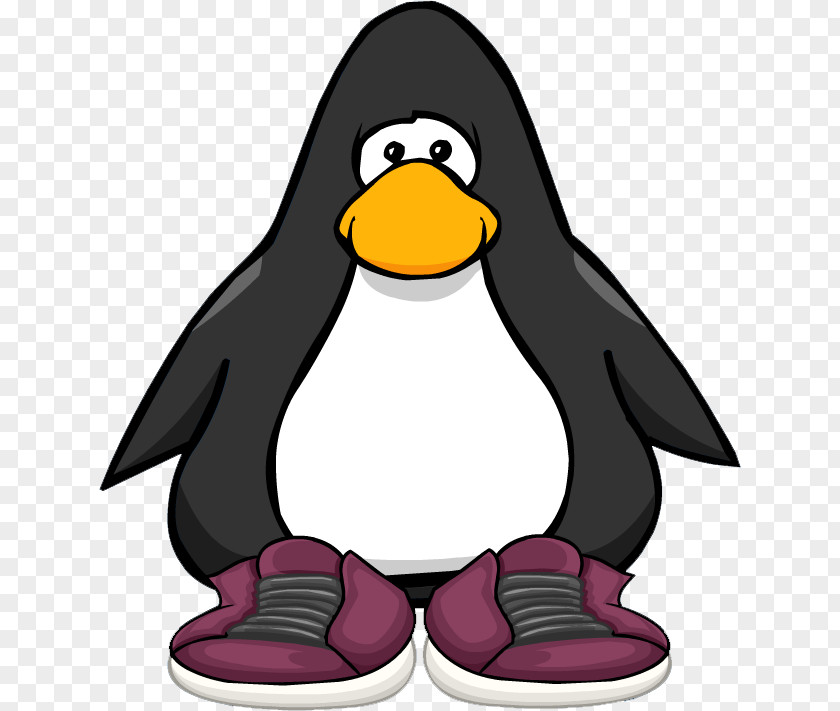 Penguin Club Party Hat Wikia PNG