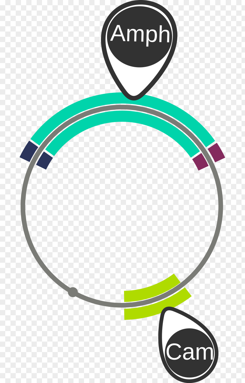 Technology Logo Body Jewellery Font PNG