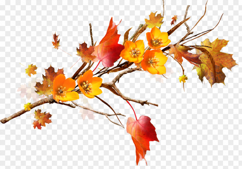 Autumn Leaf Flower Branch Floral Design PNG