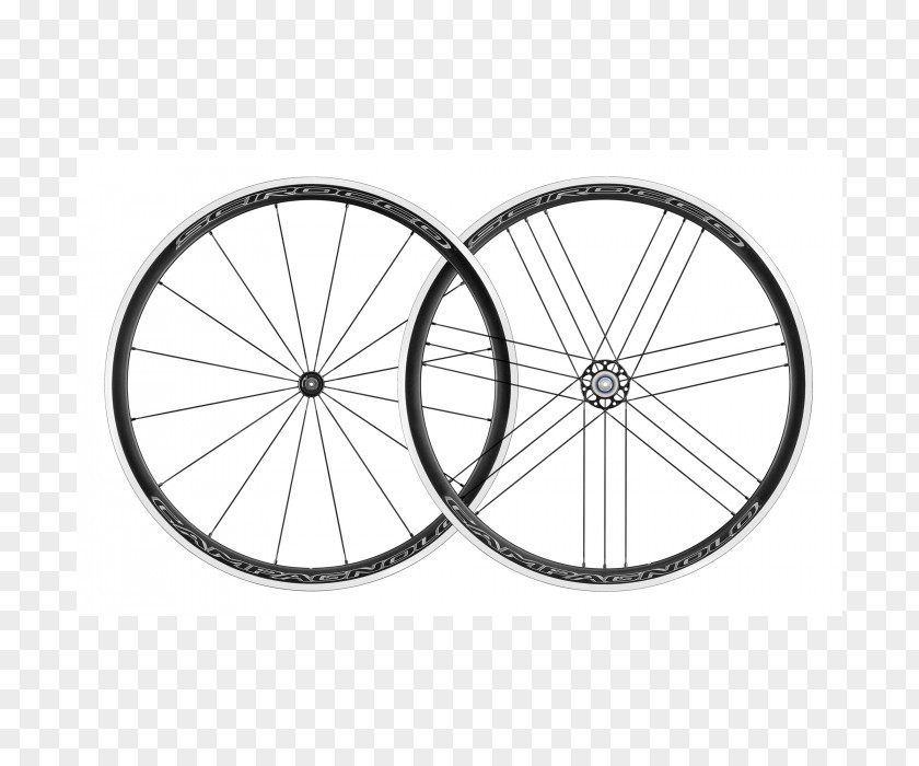 Bicycle Campagnolo Wheelset Freehub Fulcrum Wheels PNG