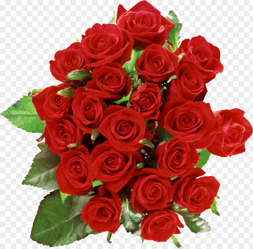 Bouquet Of Roses Image, Free Picture Download Rose Flower Clip Art PNG