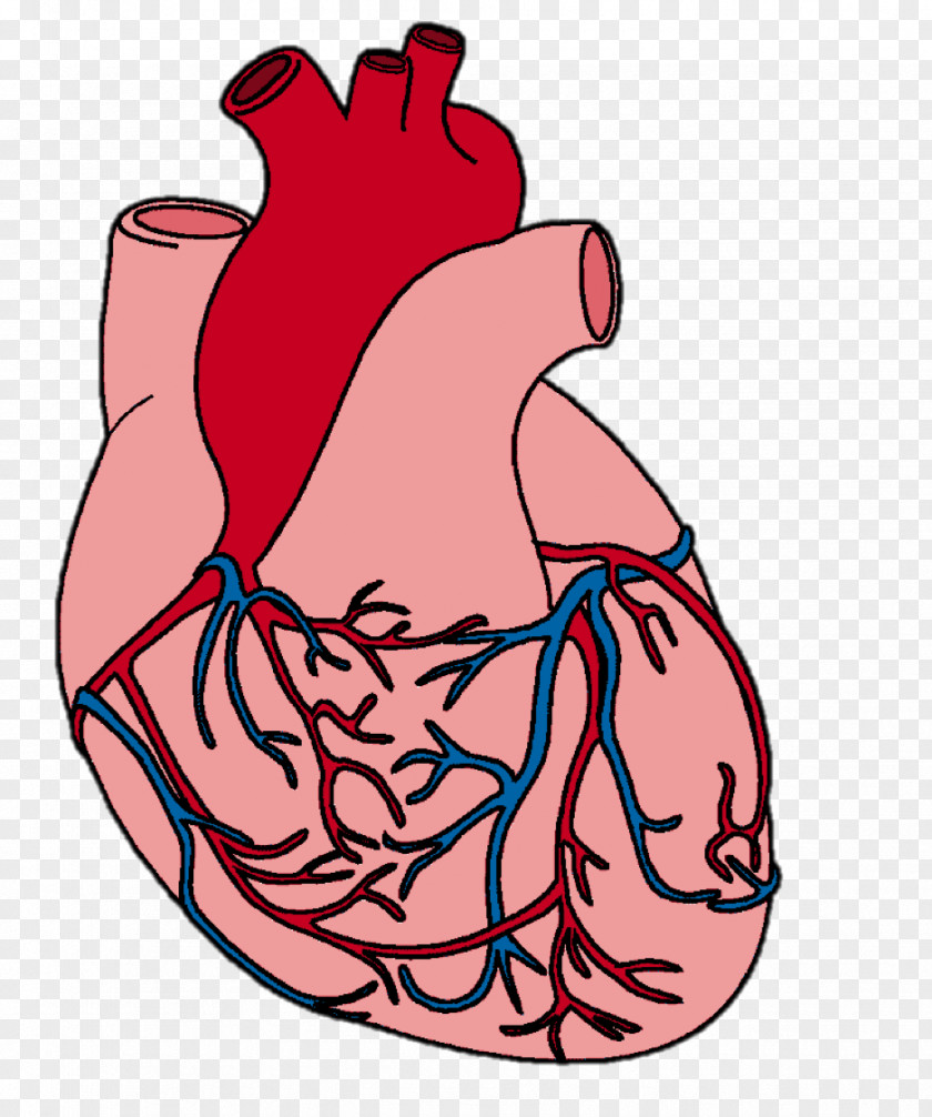 Heart Attack Drawing Clip Art PNG
