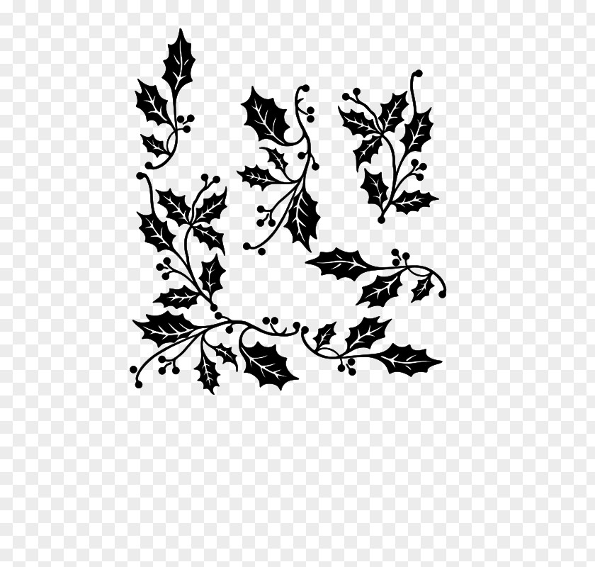 Leaves Black And White PNG