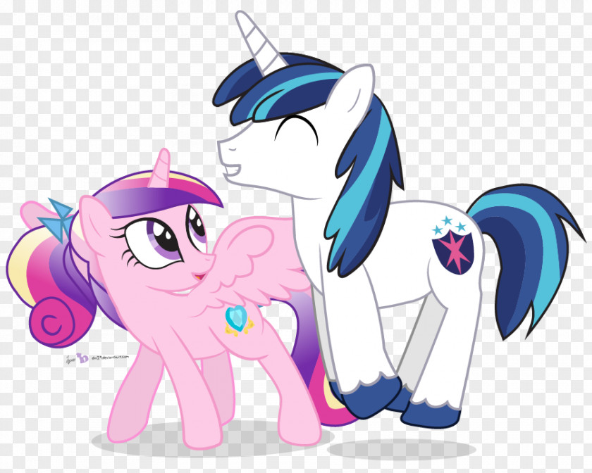 I Said Yes Pony Twilight Sparkle Pinkie Pie Horse Princess Cadance PNG