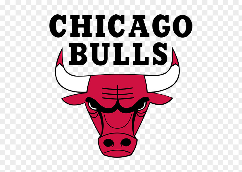 Nba Chicago Bulls Windy City NBA Durham Logo PNG