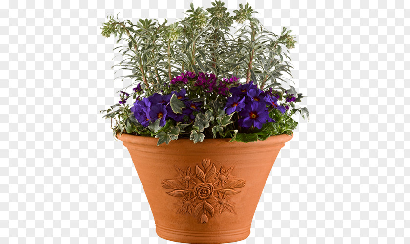 Pot Chelsea Flower Show Flowerpot Houseplant PNG