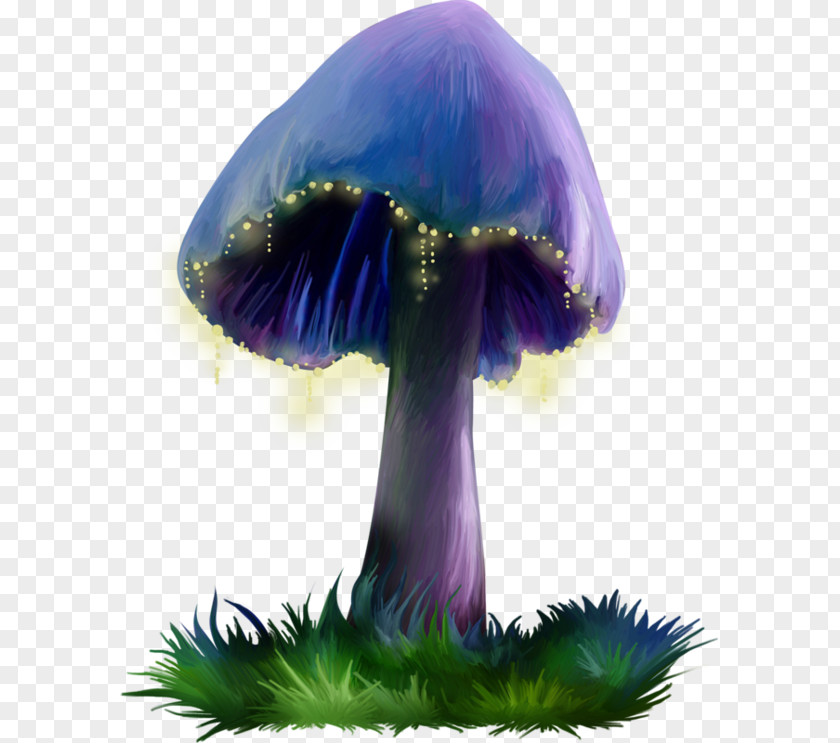 Purple Mushrooms Mushroom PNG