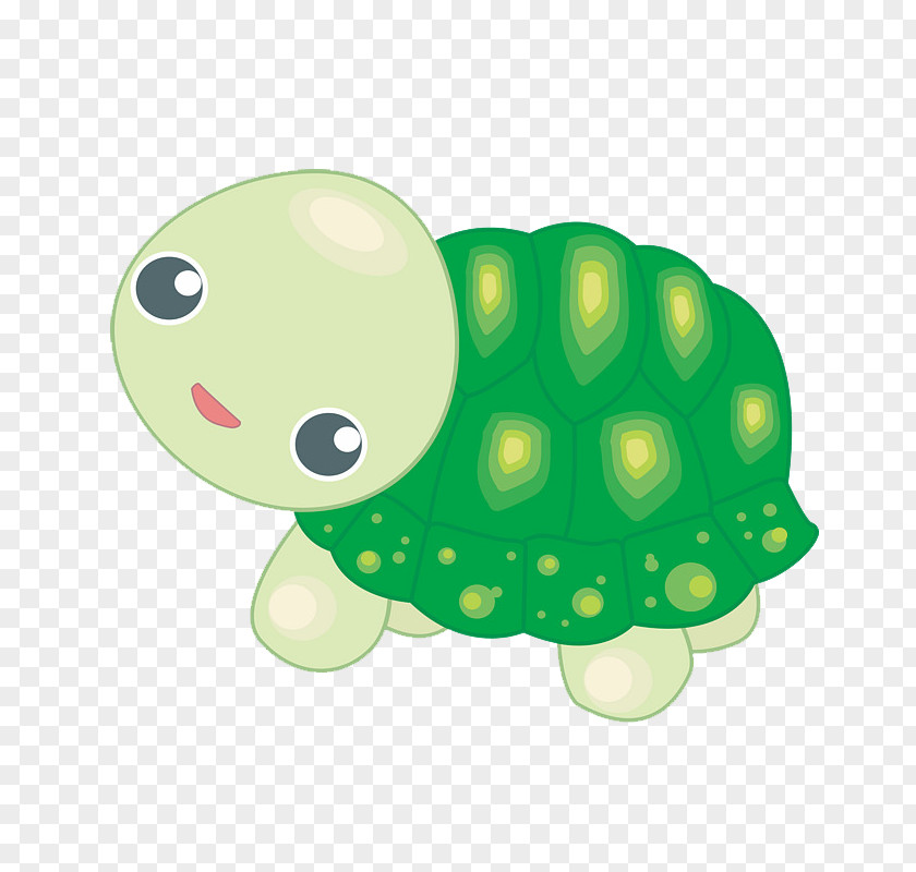 Baby Turtle Vector Graphics Image Cartoon Animation PNG