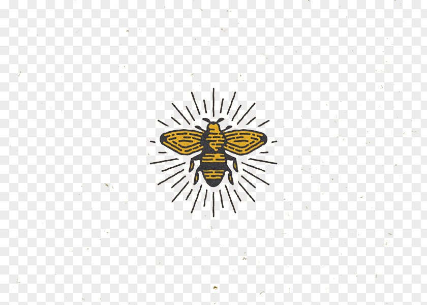 Bee Honey Pattern PNG