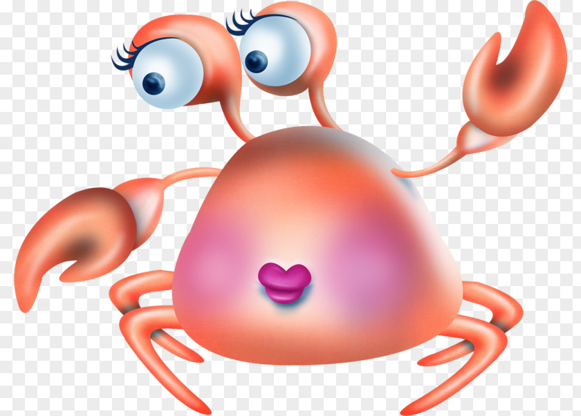Cartoon Crab Computer File PNG
