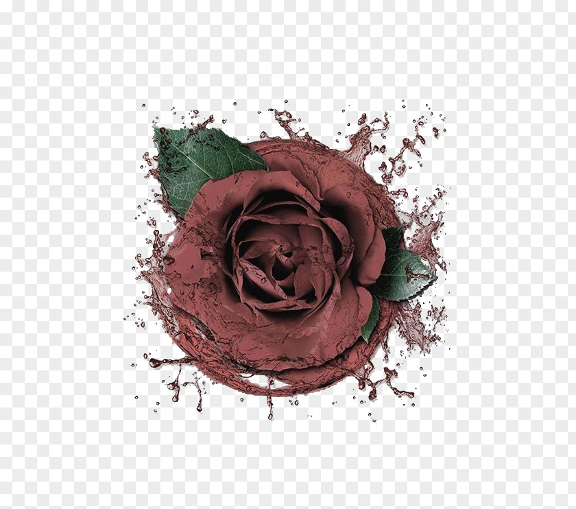 Dark Red Roses Designer Pink Illustration PNG