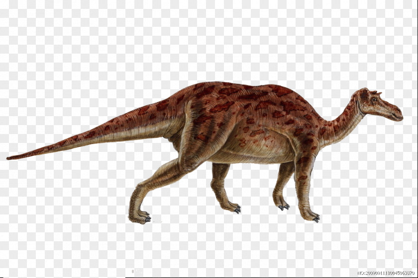 Dinosaur Creative Maiasaura Iguanodontia Genasauria Late Cretaceous PNG