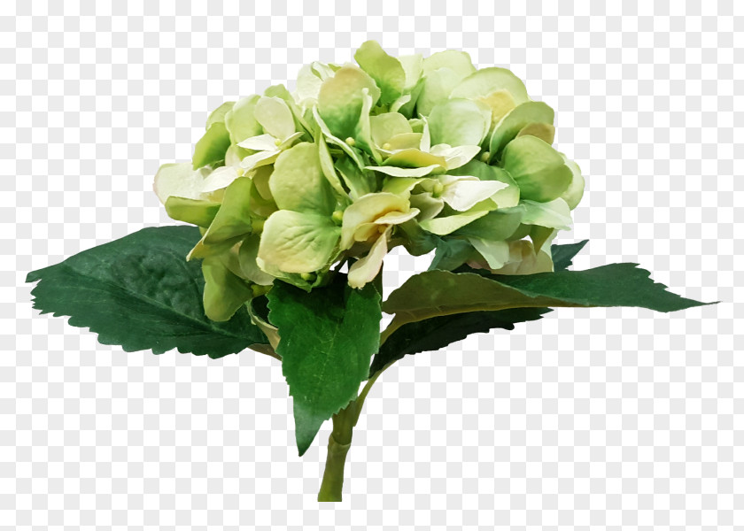 Hydrangea Cut Flowers Floral Design Floristry Flower Bouquet PNG