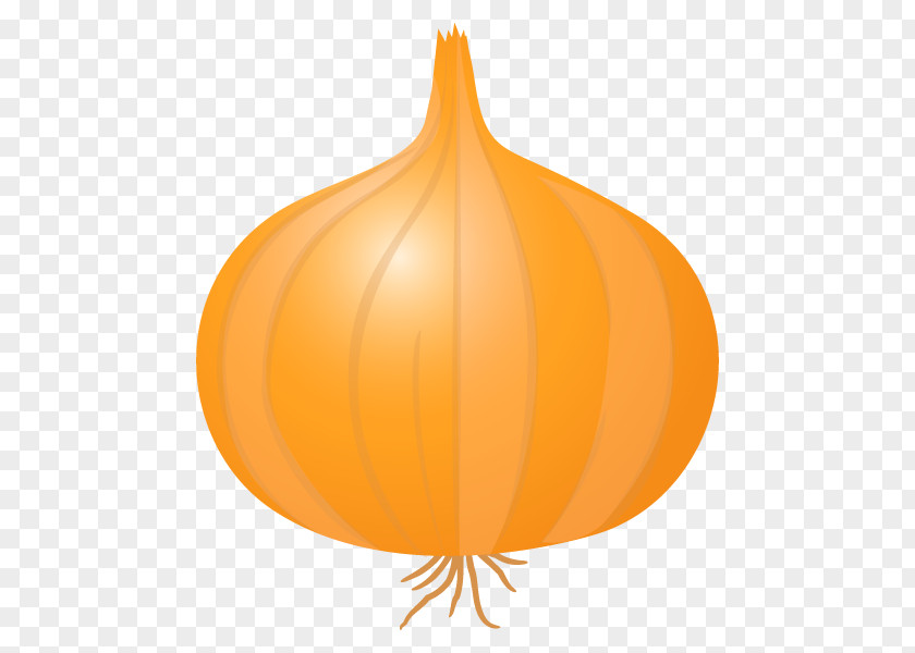 Pumpkin Calabaza Winter Squash Leaf PNG