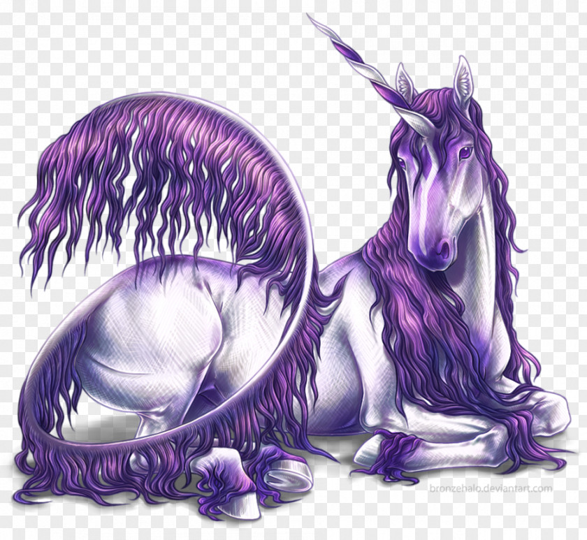 Unicorn The Black Horse Legendary Creature Mythology PNG