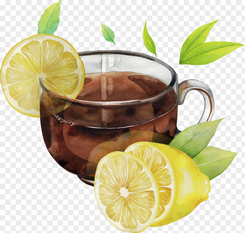 Watercolor A Cup Of Lemon Tea Vector Green Painting PNG