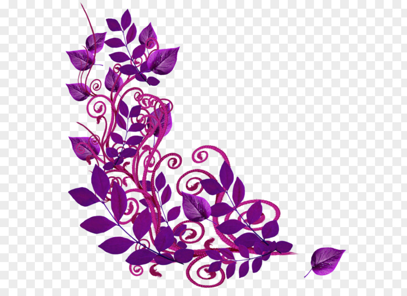 Floral Design Centerblog Flower Clip Art PNG