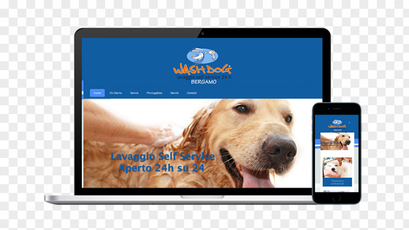 Golden Retriever Puppy Dog Breed Display Advertising Electronics PNG