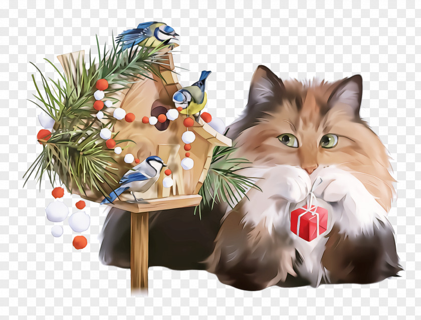 Ragdoll Persian Christmas Ornament PNG