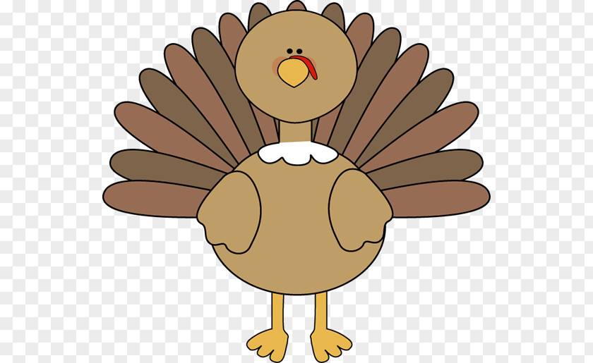 Thanksgiving Dinner Turkey Pilgrim Clip Art PNG