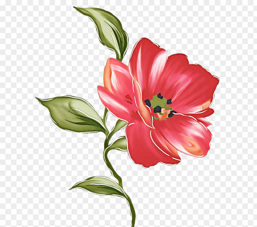 Tulip Cut Flowers Flower Flowering Plant Petal Red PNG