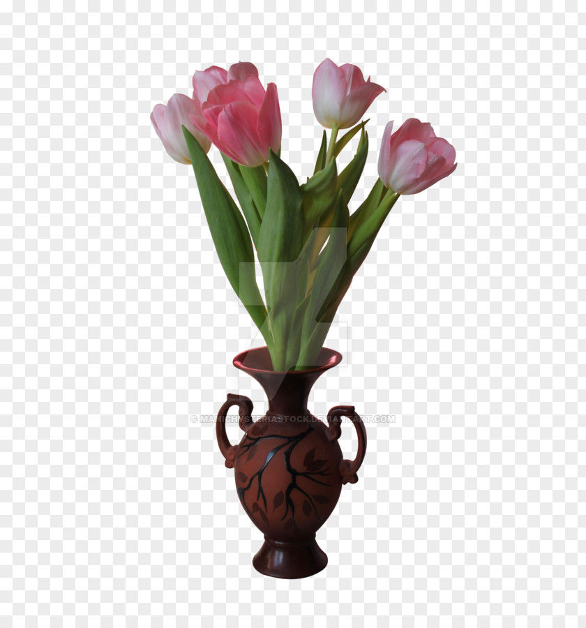 Tulip Cut Flowers PNG