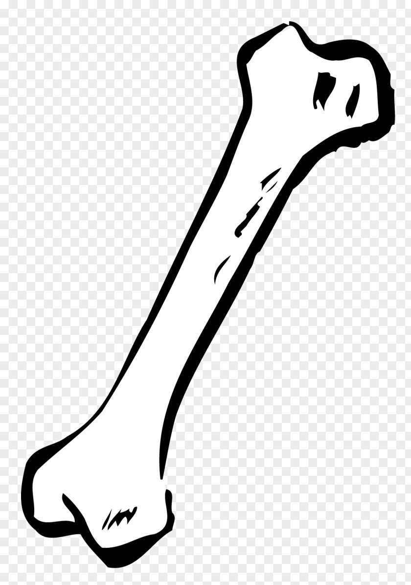 Bone Dog Human Skeleton Clip Art PNG