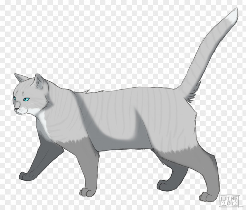 Cat Whiskers Wildcat Digital Art PNG