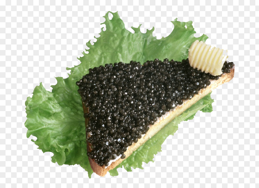 Caviar Bread Beluga Butterbrot Russian Cuisine Roe PNG