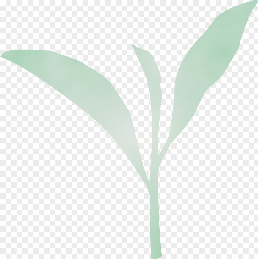 Leaf Green Plant Flower Lily Of The Valley PNG