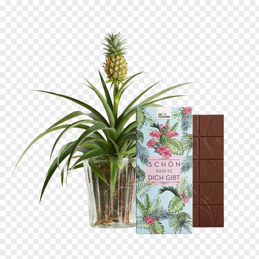 Pineapple Juice Embryophyta Sweet And Sour Bromeliads PNG