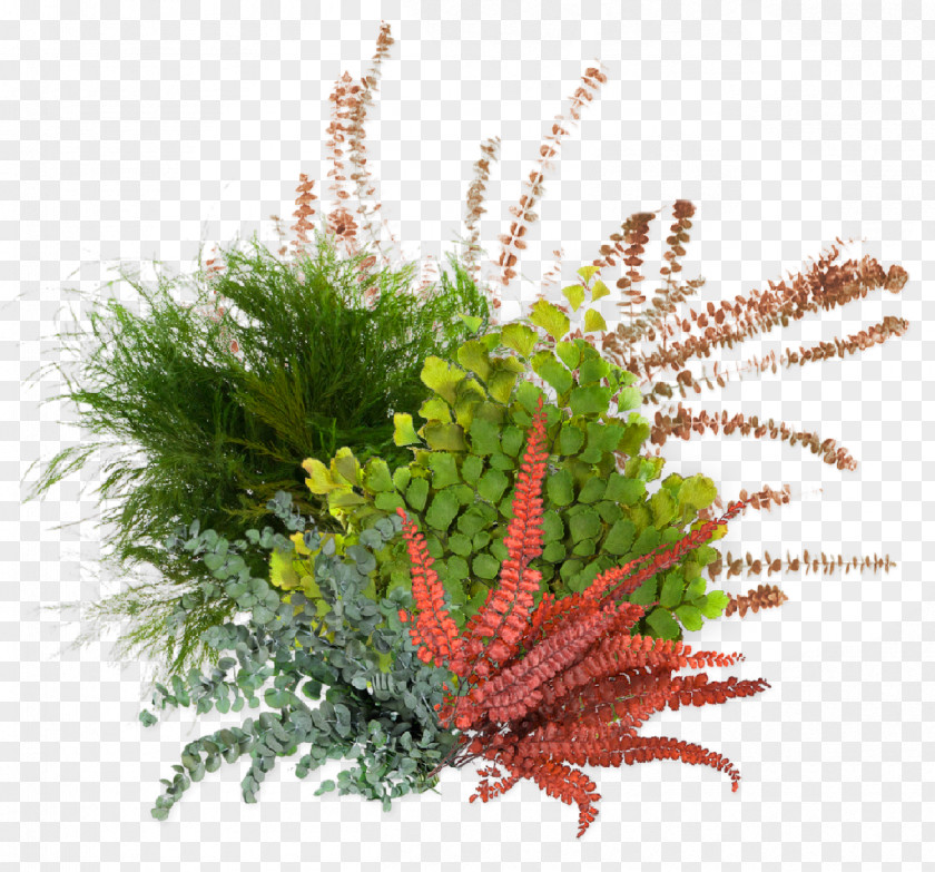 Atmospheric Plant Cement Linoleum Resin Floor Garden PNG