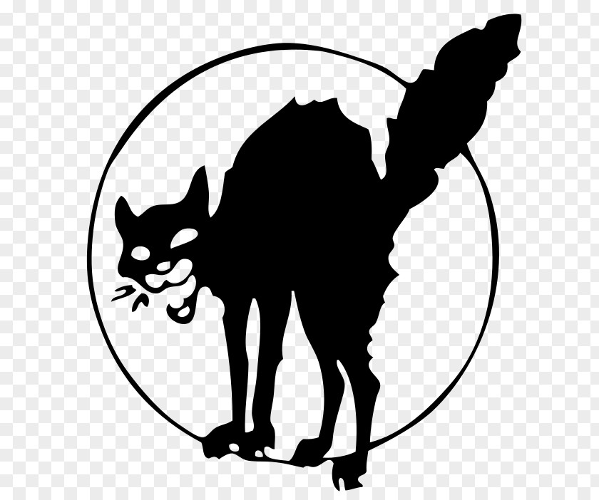 Cat Black Anarchism Wildcat Industrial Workers Of The World PNG