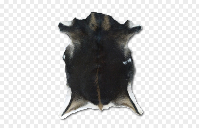 Goat Furry Snout Fur PNG