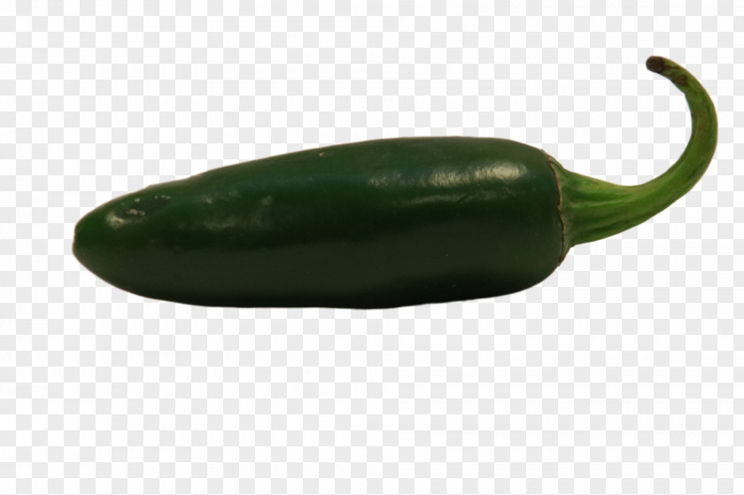 Green Pepper Serrano Jalapexf1o Pasilla Cucumber Capsicum PNG