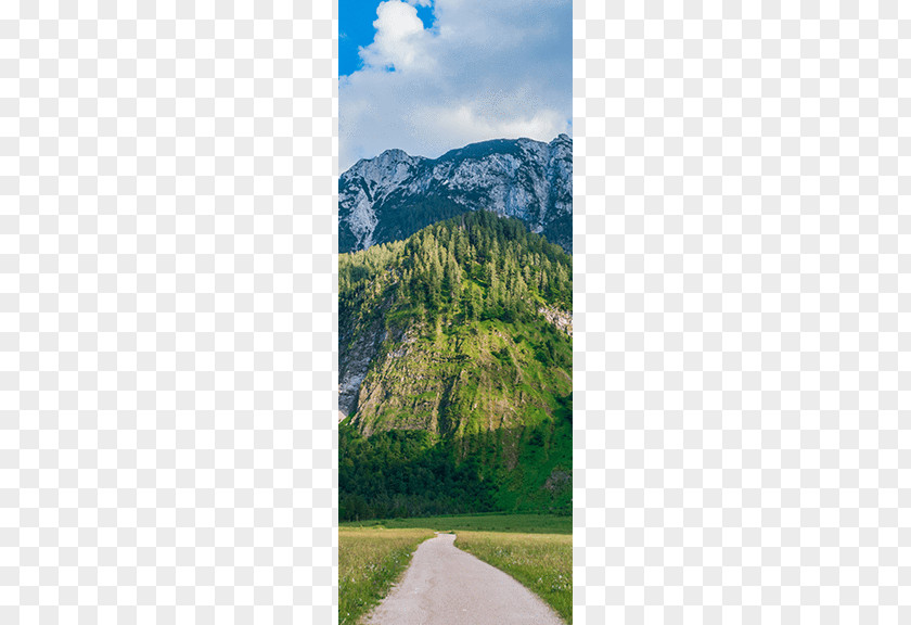 Mountain Mount Scenery Trail Walkway Wood PNG