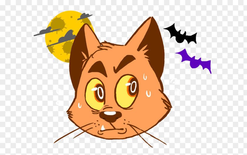 Nervous Whiskers Kitten Cat Snout Dog PNG