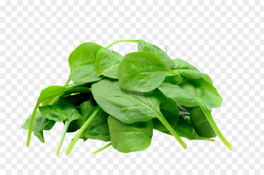 Parsley Juice Organic Food Spinach Leaf Vegetable PNG