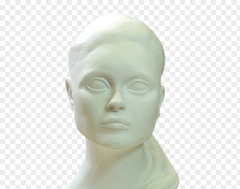 Septoplasty Surgery Cost Forehead Classical Sculpture Mannequin Jaw Chin PNG
