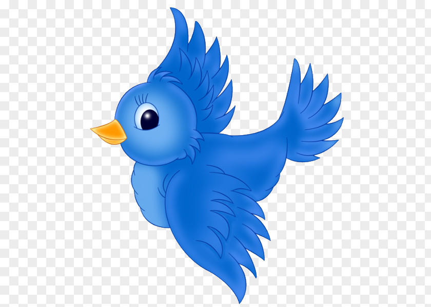 Blue Bird Western Bluebird Eastern Clip Art PNG
