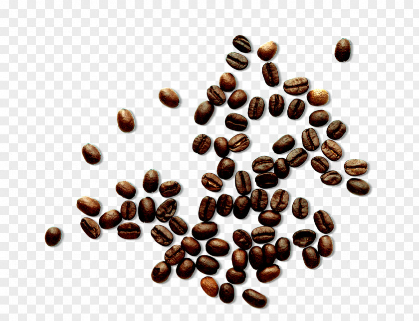 Brown Coffee Beans Bean PNG