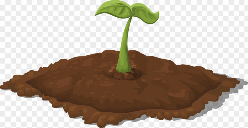 Dirt Seedling Clip Art PNG