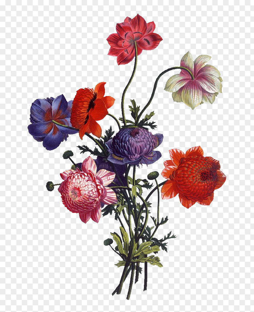 Flower Floral Design Bouquet Cut Flowers Vintage Clothing PNG