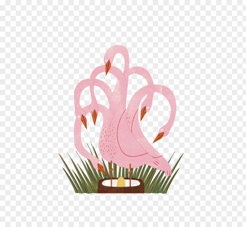 Illustration Swan Drawing Flamingos PNG