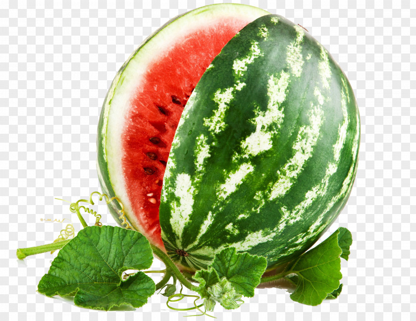 Watermelon Vine Leaves Honeydew Cantaloupe Berry PNG