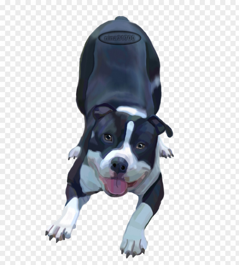 Boston Terrier American Pit Bull Dog Breed PNG