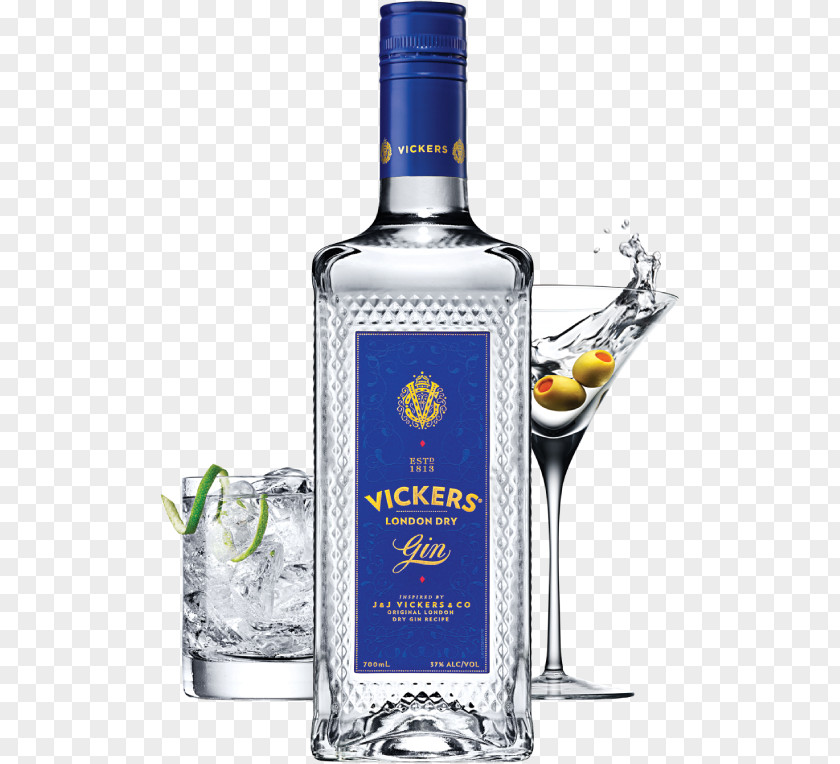 Cocktail Vodka Tonic Gin And Liqueur Distilled Beverage PNG
